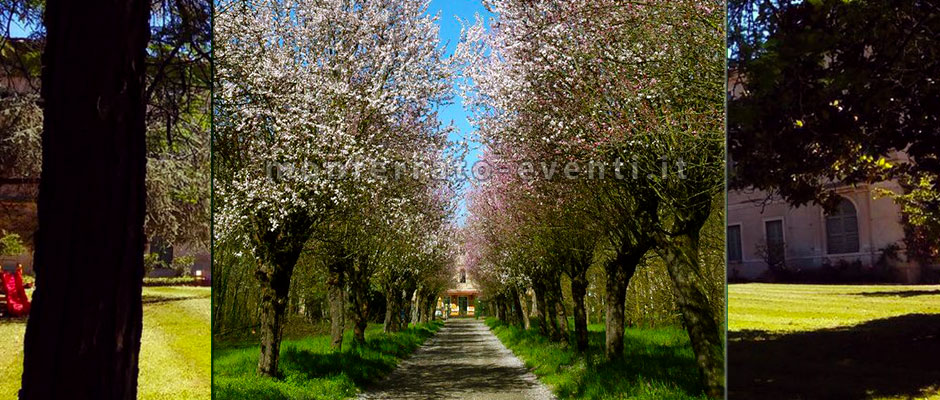 matrimonio nel parco della villa gropella a san salvatore nel monferrato con ristorante