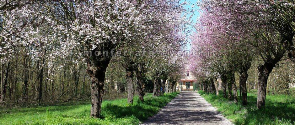 tavoli rotondi alla villa gropella