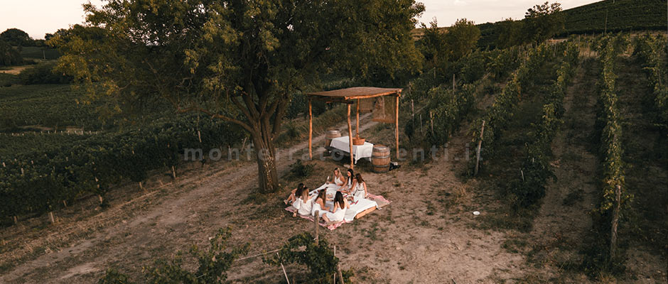 piccolo party tra le vigne del monferrato 1