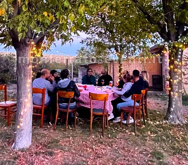Giardini in affitto a valenza san savatore alessandria asti mede mortara nel monferrato