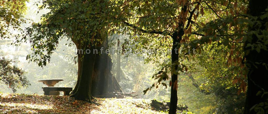 Parco villa gropella il parco valenza