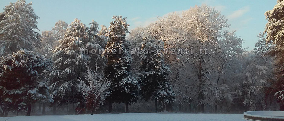 parco d'inverno della villa gropella a valenza