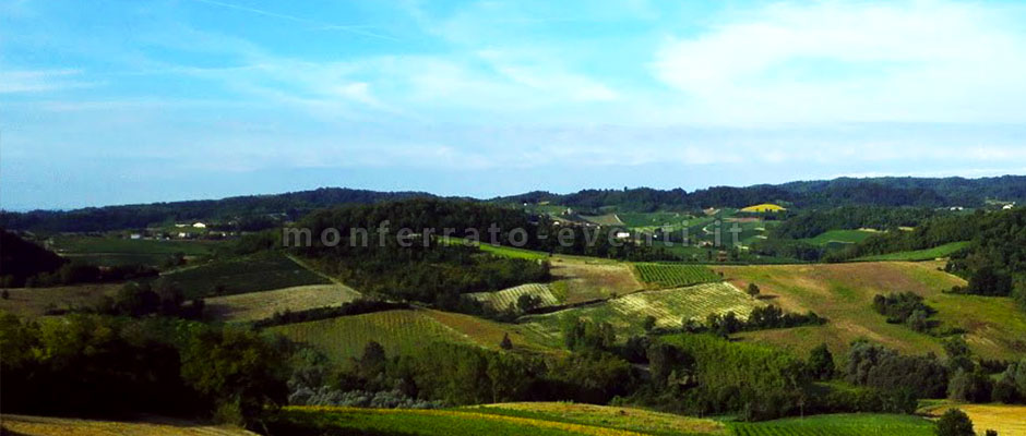 Panorama tipico di cereseto monferrato