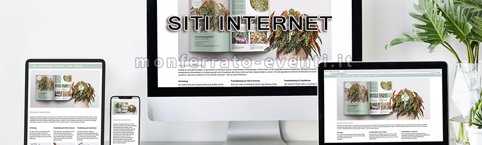 siti internet a basso costo alessandria asti vercelli valenza casale monferrato mede mortara moncalvo